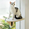 Load image into Gallery viewer, MewooFun® Cat Window Hammock / Cat Air Chaise Lounge / Cat Climbing Frame