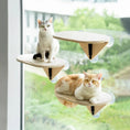 Load image into Gallery viewer, MewooFun® Cat Window Hammock / Cat Air Chaise Lounge / Cat Climbing Frame
