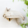 Load image into Gallery viewer, MewooFun® Cat Window Hammock / Cat Air Chaise Lounge / Cat Climbing Frame