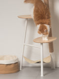 Load image into Gallery viewer, inFluffy® Free Climber 4-Tier Cat Tree / Cat Tower - 1.02m Height (Free Woven Pet Mat + Cat Teaser)