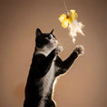 Load image into Gallery viewer, Momoland Natural Feather Cat Teaser / Interactive Cat Toy