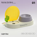 Load image into Gallery viewer, MewooFun® Sunrise Drinking & Feeding 2-In-1 Cat Bowl Set