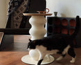 Load image into Gallery viewer, Momoland Coral Stylish 2-in-1 Cat Scratcher / Side Table