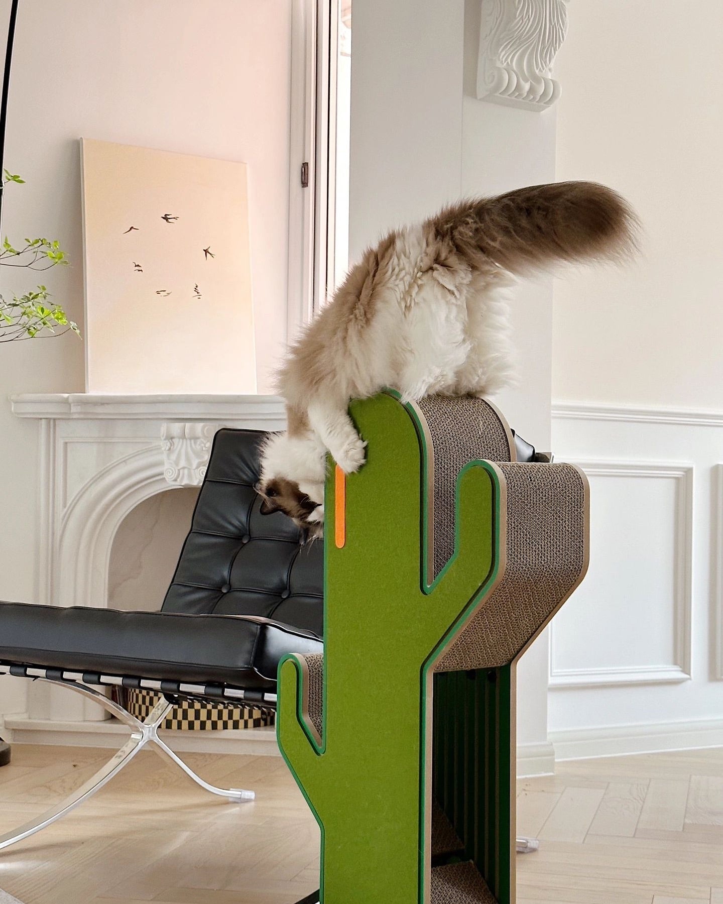 Urban Oasis DIY Climbing Cat Scratcher Unleash Your Cat s Inner Adventurer FUN. CAT STORE