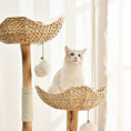 Load image into Gallery viewer, Michu® Selected Real Wood Luxury Cat Tree / Cat Tower - Large (1.2m Height)