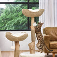 Load image into Gallery viewer, Michu® Selected Real Wood Luxury Cat Tree / Cat Tower - Large (1.2m Height)