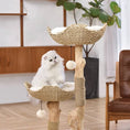 Load image into Gallery viewer, Michu® Selected Real Wood Luxury Cat Tree / Cat Tower - Large (1.2m Height)