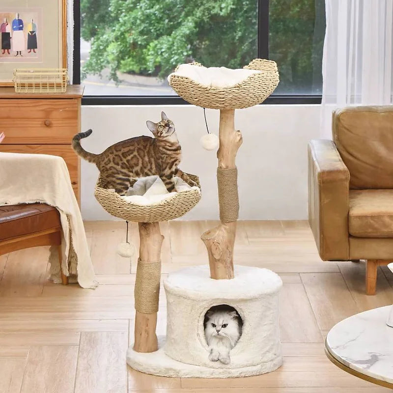 Cat Tree Fancy Cat Shop Michu Luxury Real Wood Cat Tree/Tower