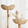 Load image into Gallery viewer, Michu® Selected Real Wood Luxury Cat Tree / Cat Tower - Large (1.2m Height)