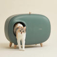 Load image into Gallery viewer, MS! MAKESURE® Modern Cat Litter Box (Free Litter Scoop + Litter Mat)