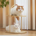 Load image into Gallery viewer, MS! MAKESURE® Multifunctional Sisal Cat Scratching Board / Side Table