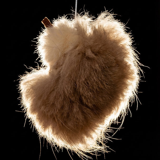 Momoland Natural Feather Cat Teaser / Interactive Cat Toy