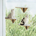 Load image into Gallery viewer, MewooFun® Cat Window Hammock / Cat Air Chaise Longue / Cat Climbing Frame
