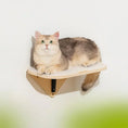 Load image into Gallery viewer, MewooFun® Cat Window Hammock / Cat Air Chaise Longue / Cat Climbing Frame
