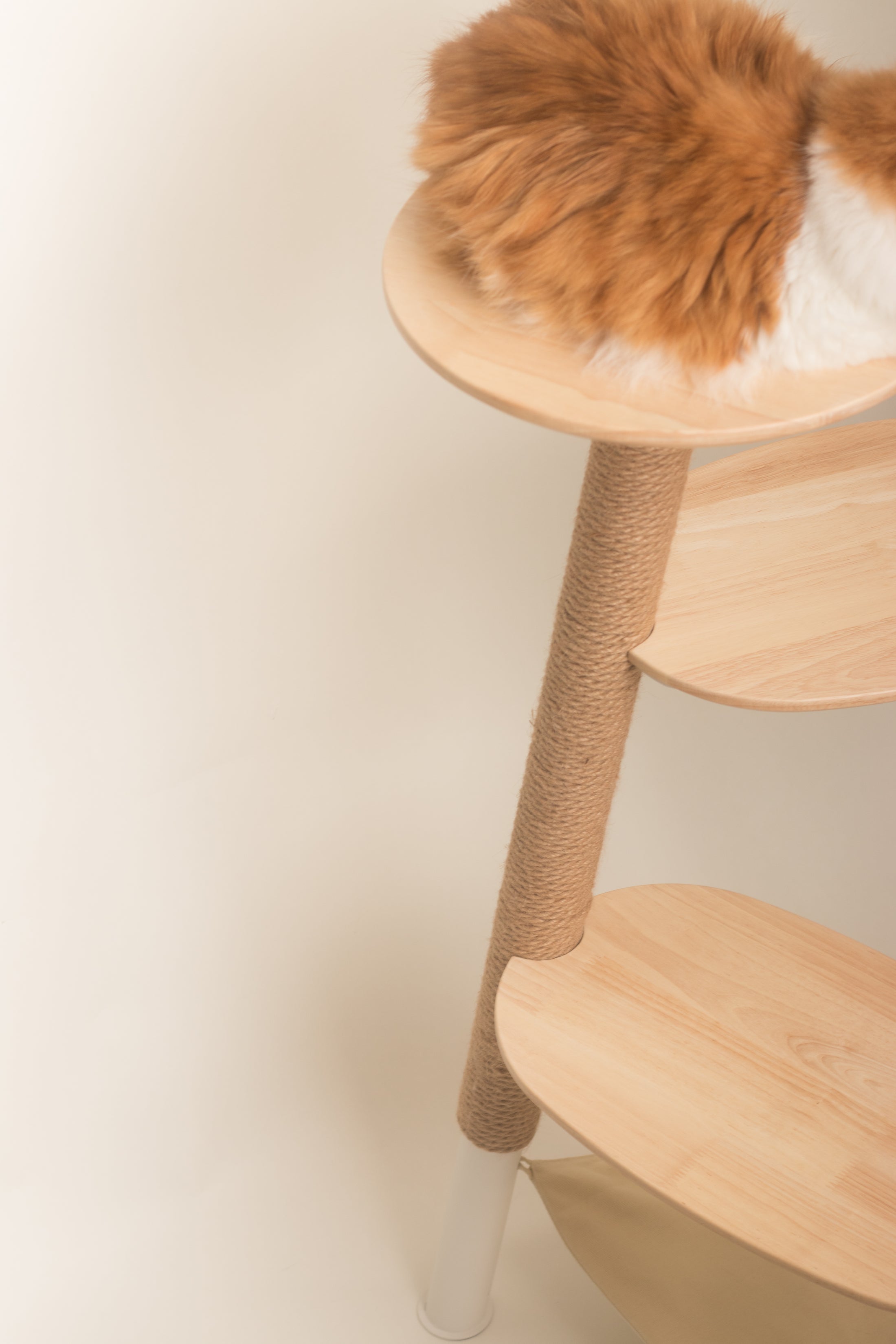 inFluffy® Free Climber 4-Tier Cat Tree / Cat Climbing Tower - 1.02m Height (Free Woven Pet Mat + Cat Teaser)