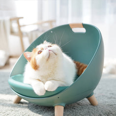 MS!MAKESURE® 4-IN-1 Convertible Cat Bed / Cat Sofa (Free Cushion+Lanyard)