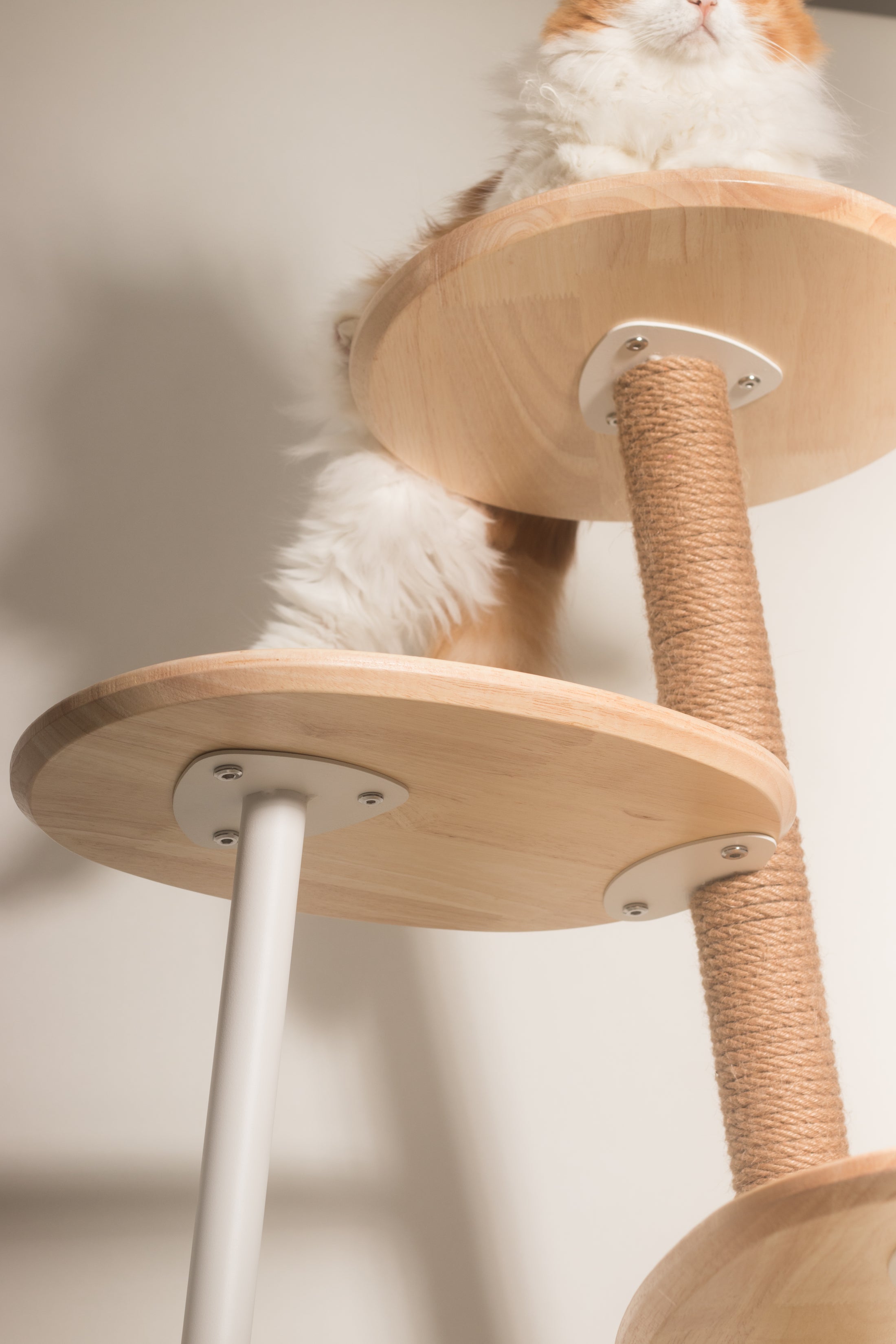 inFluffy® Free Climber 4-Tier Cat Tree / Cat Climbing Tower - 1.02m Height (Free Woven Pet Mat + Cat Teaser)