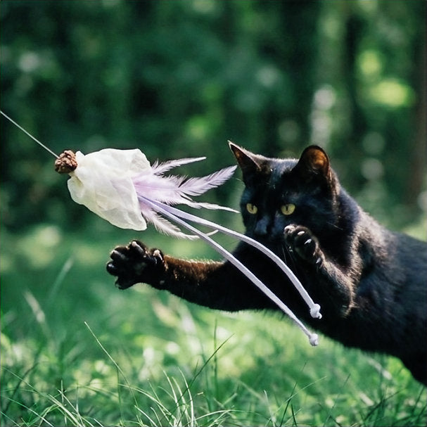 Momoland Natural Feather Cat Teaser / Interactive Cat Toy
