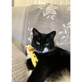 Load image into Gallery viewer, Rosewood® Catnip Cat Toy Eco Friendly Giraffe Grab Toy for Cats - Small
