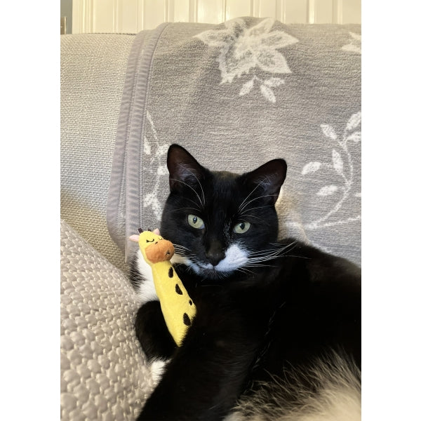 Rosewood® Catnip Cat Toy Eco Friendly Giraffe Grab Toy for Cats - Small