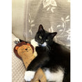 Load image into Gallery viewer, Rosewood® Catnip Cat Toy Eco Friendly Lion Kicker Toy for Cats - Large
