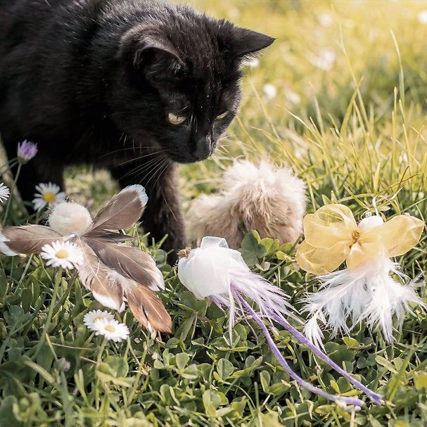 Momoland Natural Feather Cat Teaser / Interactive Cat Toy