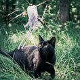 Load image into Gallery viewer, Momoland Natural Feather Cat Teaser / Interactive Cat Toy
