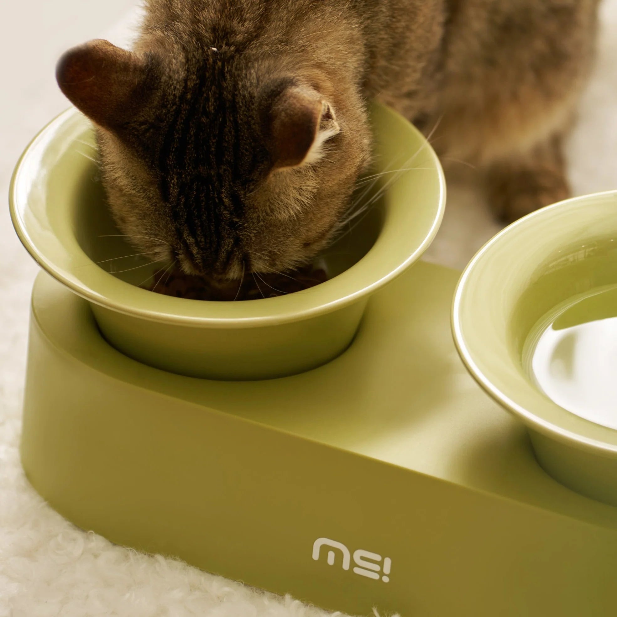 MS! MAKESURE® Ceramic 2-In-1 Jingle Cat Bowl Set