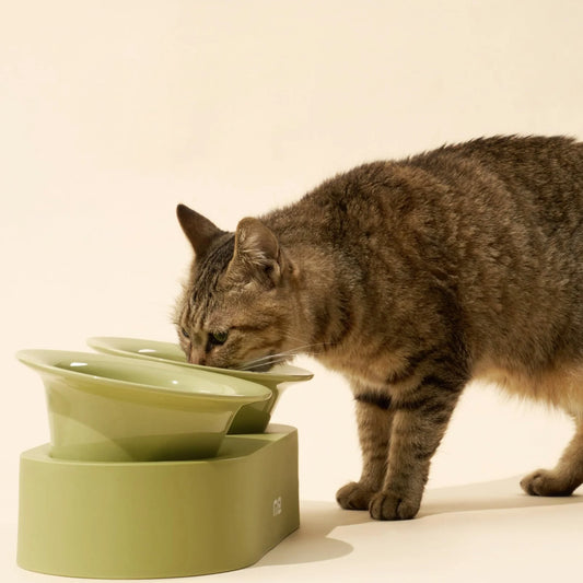 MS! MAKESURE® Ceramic 2-In-1 Jingle Cat Bowl Set