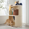 Load image into Gallery viewer, Decopark Muti-Level Cat Condo / Cat Climbing Tree / Cat Activity Centre
