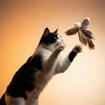 Load image into Gallery viewer, Momoland Natural Feather Cat Teaser / Interactive Cat Toy

