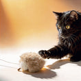 Load image into Gallery viewer, Momoland Natural Feather Cat Teaser / Interactive Cat Toy
