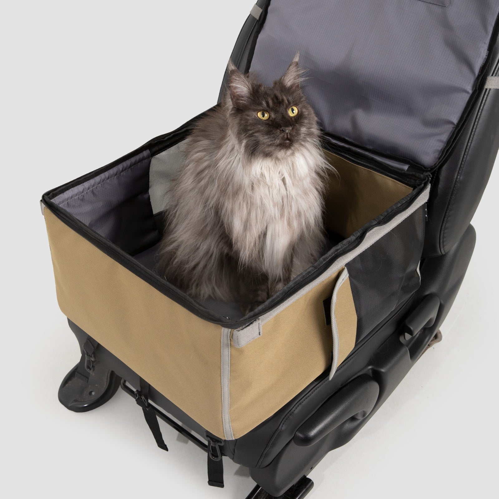 HiDREAM® Pet Car Seat / Pet Travel Backpack 2-in-1 Cat Carrier