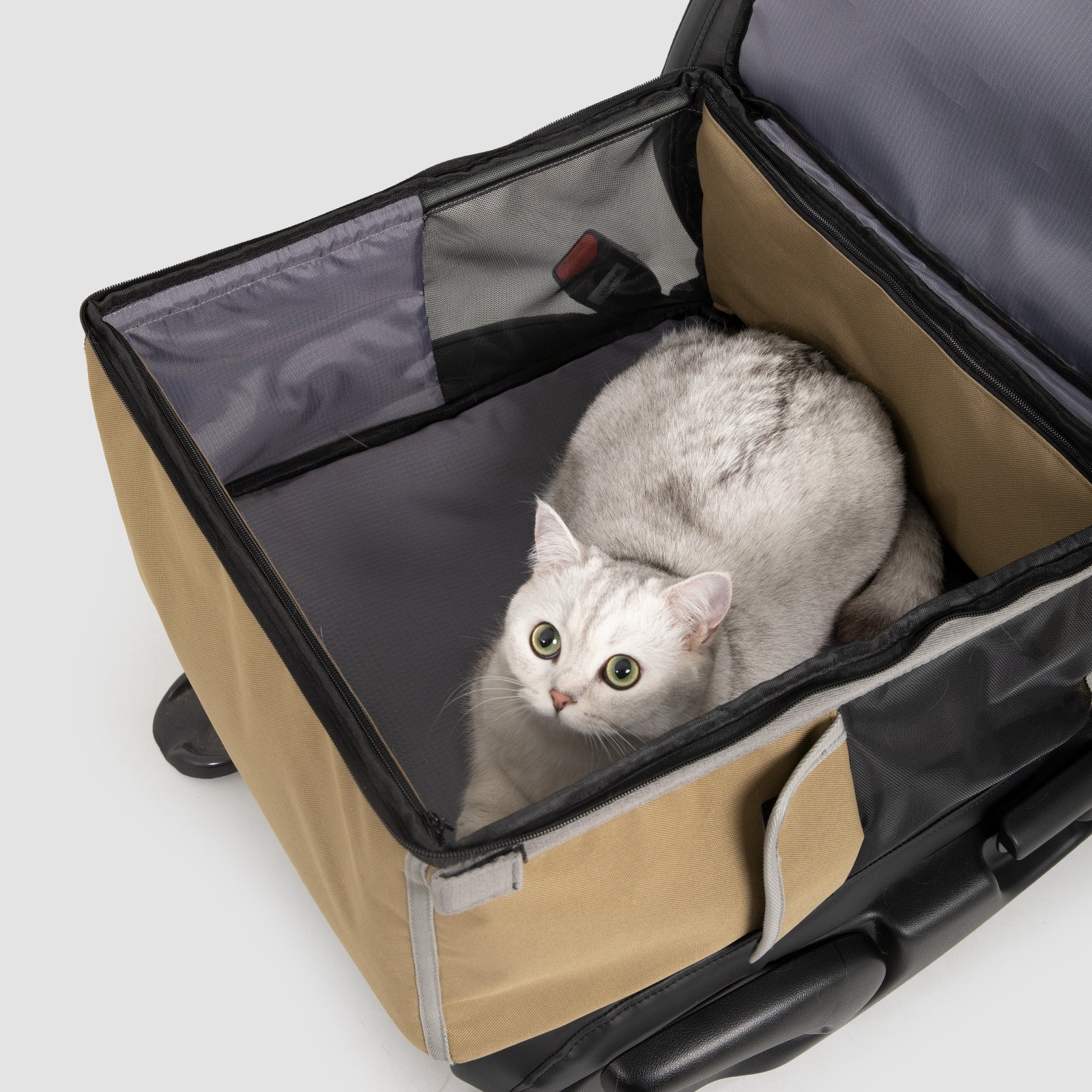 HiDREAM® Pet Car Seat / Pet Travel Backpack 2-in-1 Cat Carrier