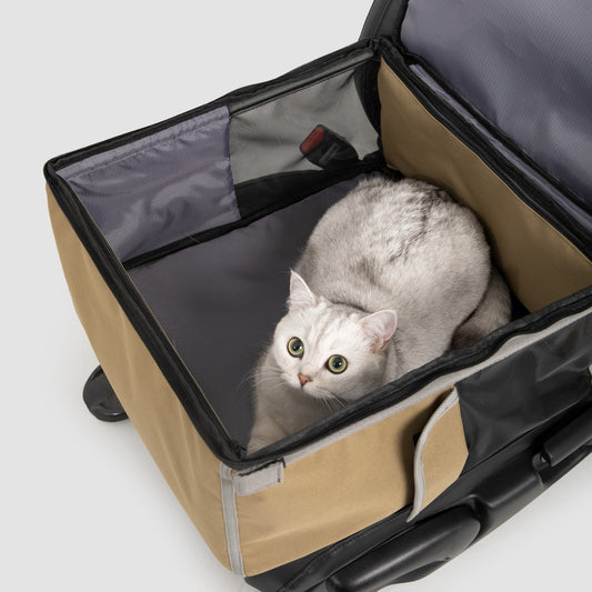 HiDREAM® Pet Car Seat / Pet Travel Backpack 2-in-1 Cat Carrier