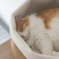 Load image into Gallery viewer, inFluffy® Kraft Paper Wool Felt Cat Bed / Cat Nest (Free Pet Cushion Included)
