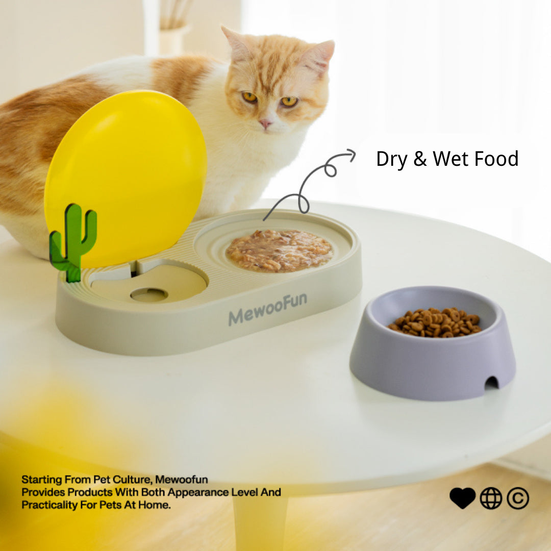 MewooFun® Sunrise Drinking & Feeding 2-In-1 Cat Bowl Set