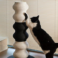 Load image into Gallery viewer, Momoland® Coral Tall Cat Scratching Post / Cat Scratcher
