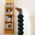 Load image into Gallery viewer, Momoland® Coral Tall Cat Scratching Post / Cat Scratcher
