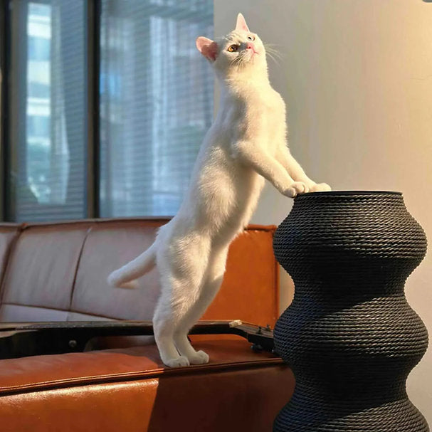 Momoland® Coral Tall Cat Scratching Post / Cat Scratcher
