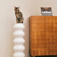Load image into Gallery viewer, Momoland® Coral Tall Cat Scratching Post / Cat Scratcher
