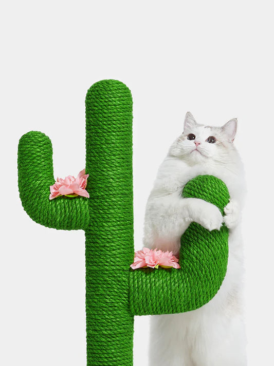 VETRESKA® Hand-made Cat Scratcher / Cat Tree - Cactus Mini (80cm Height)