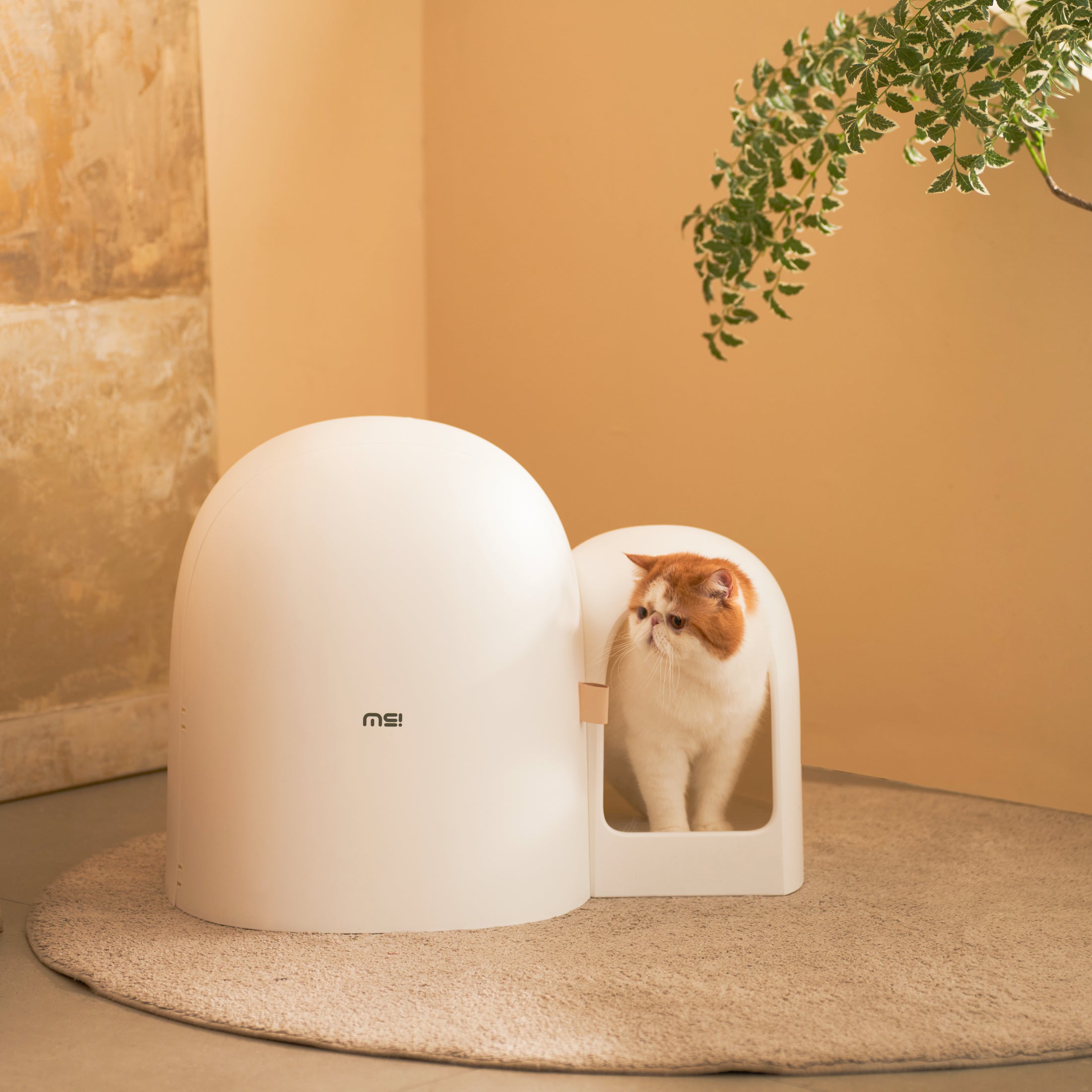 MS! MAKESURE® MAX Stylish Cat Litter Box (Free Litter Scoop+Teaser Wand)