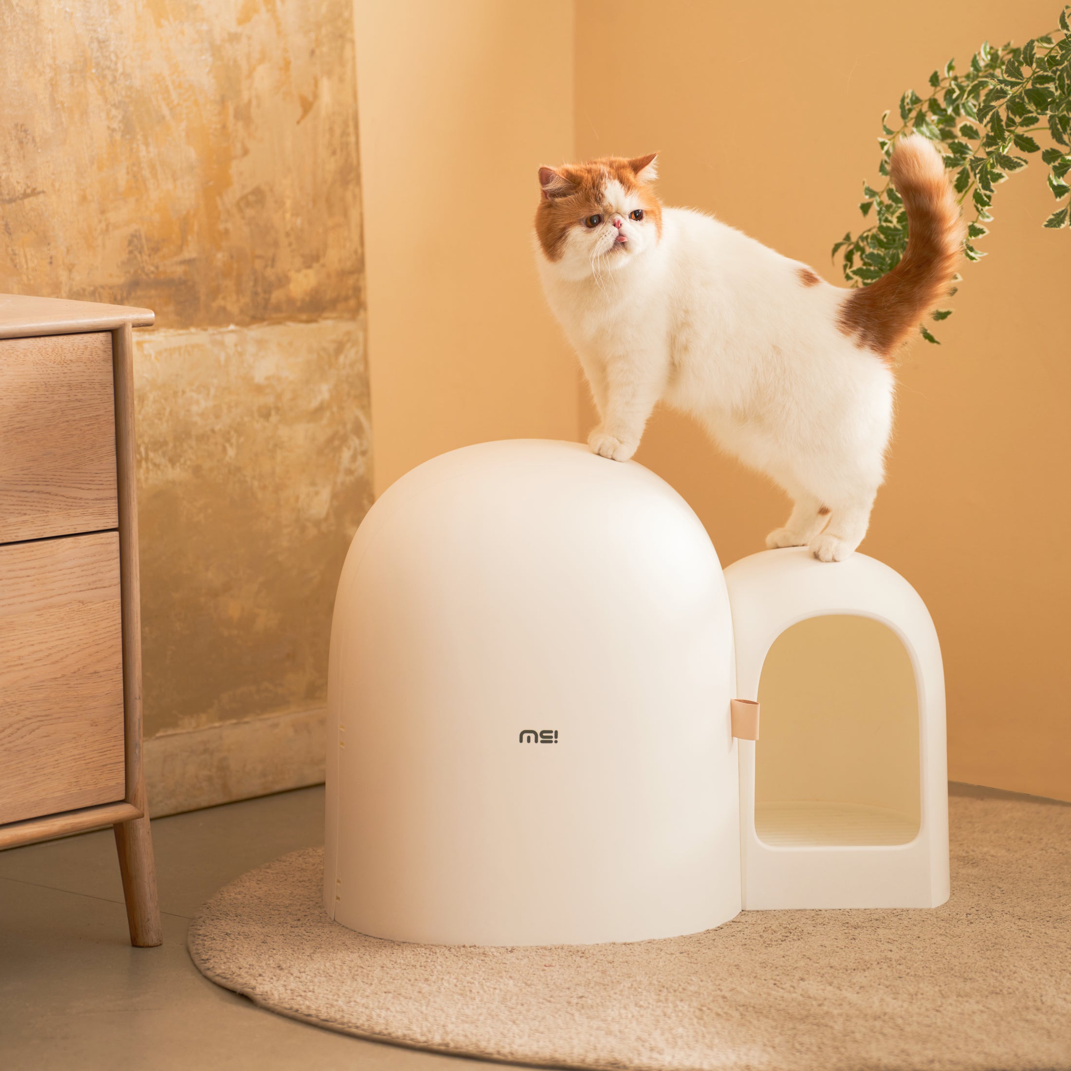 MS! MAKESURE® MAX Stylish Cat Litter Box (Free Litter Scoop+Teaser Wand)