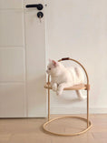 Load image into Gallery viewer, MS! MAKESURE® Multifunctional Sisal Cat Scratching Board / Side Table
