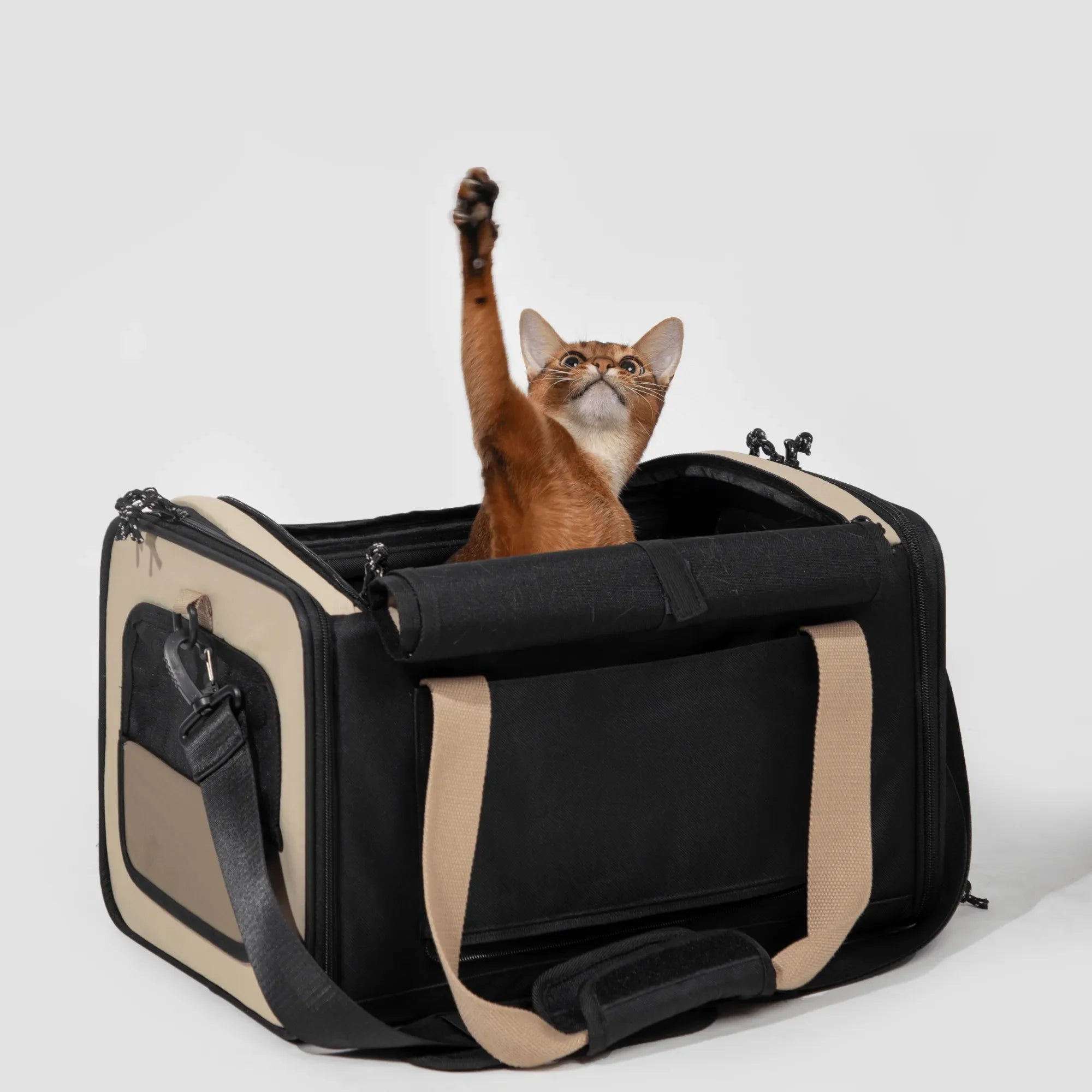 HiDREAM® Airline Tote Bag For Pets / Travel-Friendly Cat Carrier