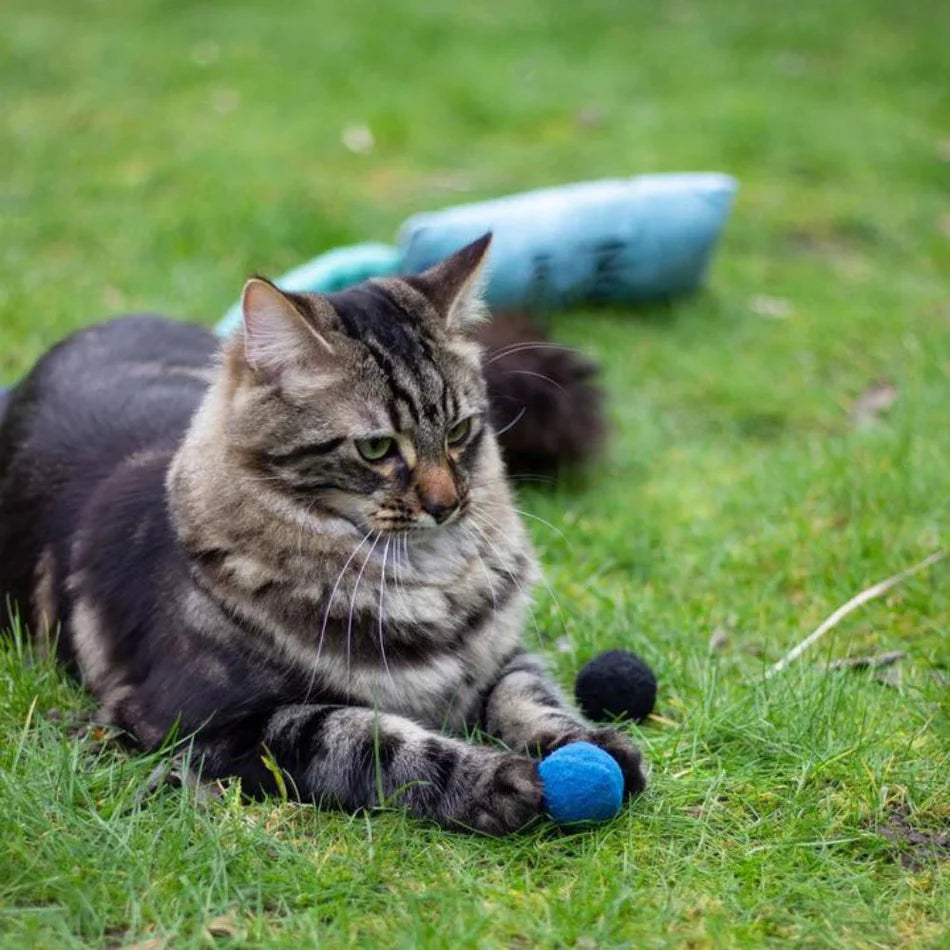 Rosewood® Battersea Catnip Cat Toy Pounce Cat Balls (4PC)
