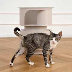 Meow Bloom® Pet-Friendly Elegant Side Table / Cat Furniture / Cat Bedding