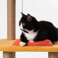 Load image into Gallery viewer, PIDAN® Cat Climbing Tree / Cat Tower - Easy Jump Jump (1.26m Height)
