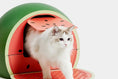 Load image into Gallery viewer, VETRESKA® Fruity Cat Litter Box - Watermelon (Free Litter Scoop + Teaser Wand)
